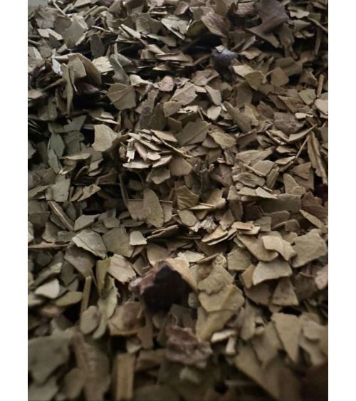 Maté Cacao Amande